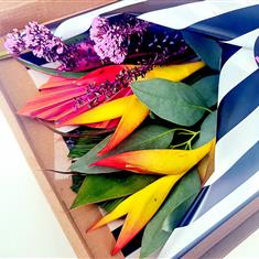 Tropical Legend - Letterbox Flowers