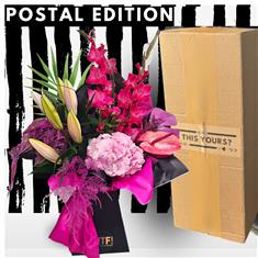 Postal Vibes - P!nk!