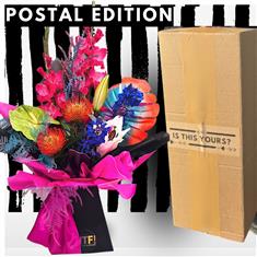 Postal VIbes - Carnival