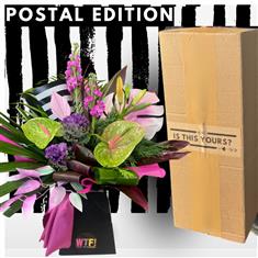 Postal VIbes - Whimsical