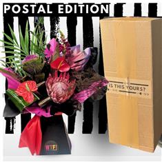 Postal VIbes - Rockstar