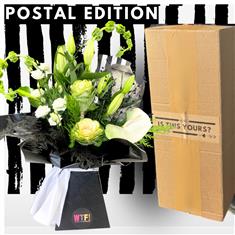 Postal VIbes - Mono