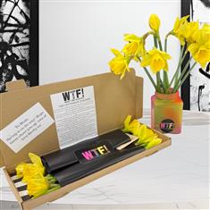 Daffy Legend - Letterbox Flowers
