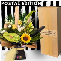 Postal Vibes - Sunshine