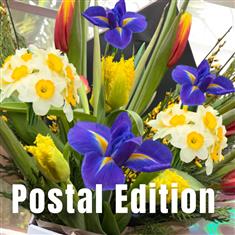 A Spring Vibe - Postal Edition 