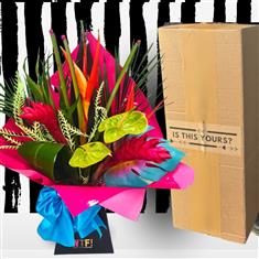 Postal Vibes - Just Tropicals