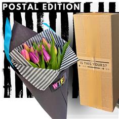 Tulip 99 - Postal Edition 