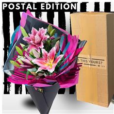 Lily Sundae - Postal Edition 