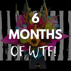 6 Months Of WTF!