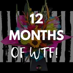 12 Months of WTF!