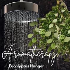 Eucalyptus Aromatherapy Shower Hanger