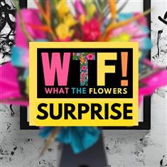 WTF! Surprise