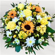 Yellow Posy