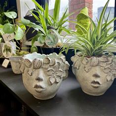 Stone Woman Pot