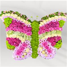 Bold Pinks Butterfly Tribute