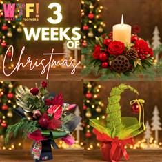 Three Weeks Of Christmas