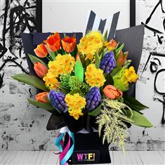 Spring Spotlight Petite 