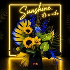 Summer Sunshine Vibe