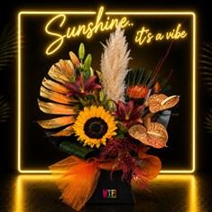 Autumn Sunshine Vibe