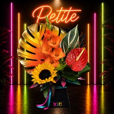 Autumn Petite