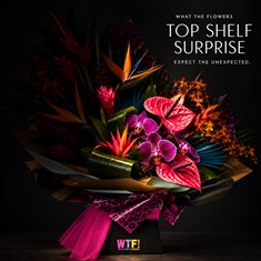 WTF! Top Shelf Surprise